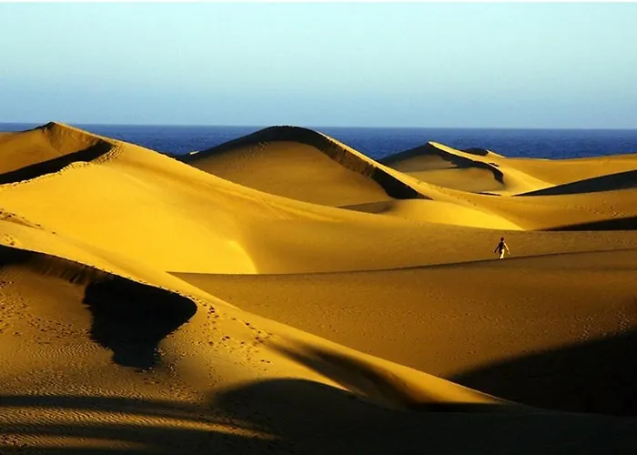 Bonito Y Comodo By Casas Cocodrilo * 플라야 델 잉글스